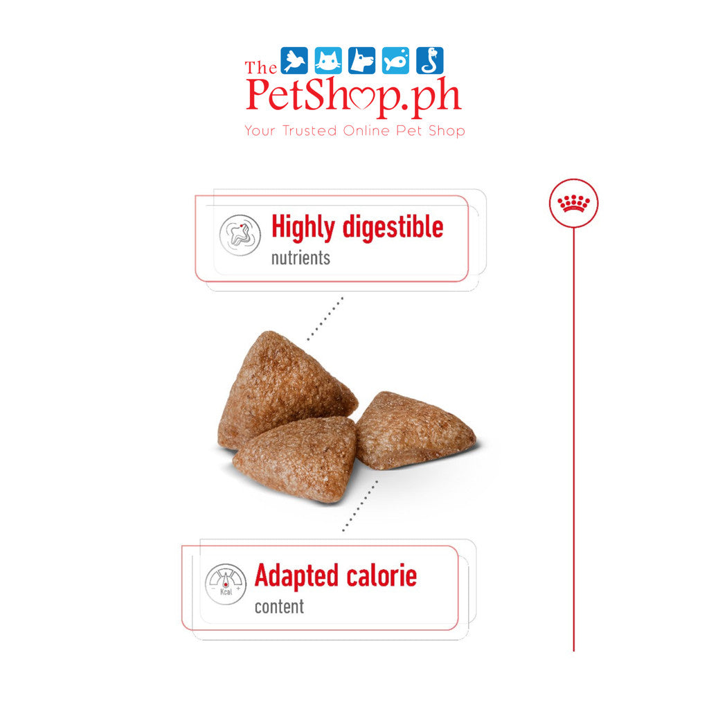 Royal Canin Mini Indoor Adult 1.5kg Dry DogFood size health nutrition