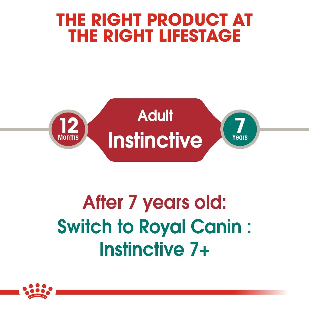 Royal Canin Instinctive Adult SET of 24 Feline Health Nutrition
