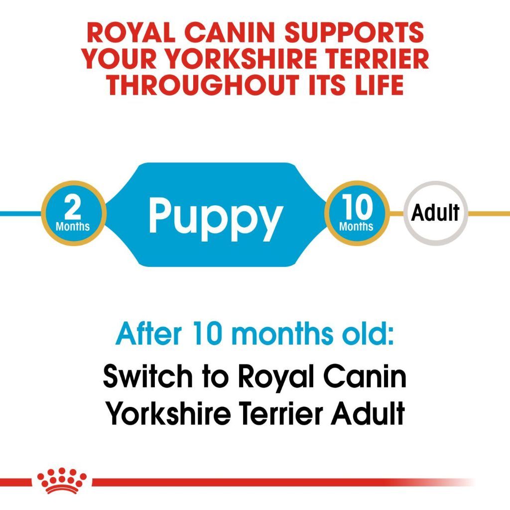 Royal Canin Yorkshire Puppy 1.5kg - 1.5kg