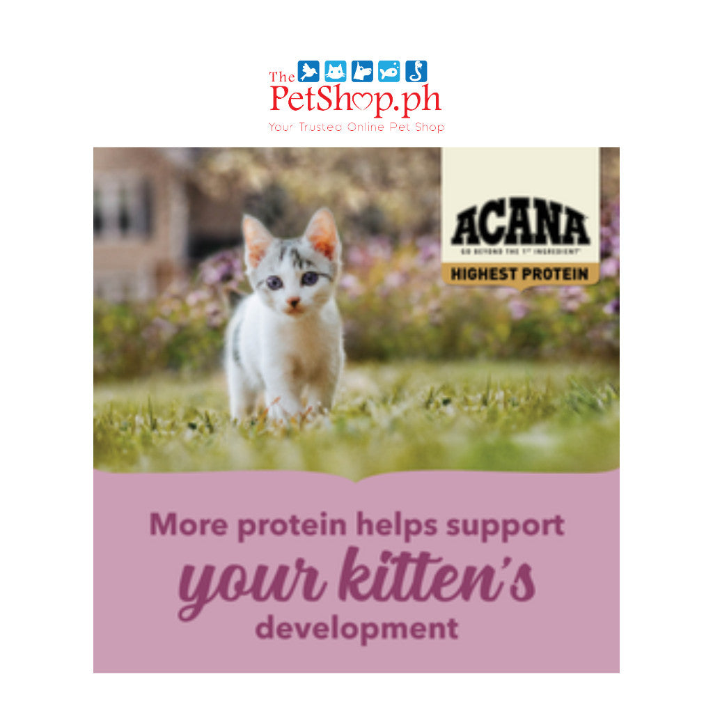 Acana Highest Protein, Kitten Recipe 1.8kg ((FREE 1 INABA CHURO Kitten Stick 14g)