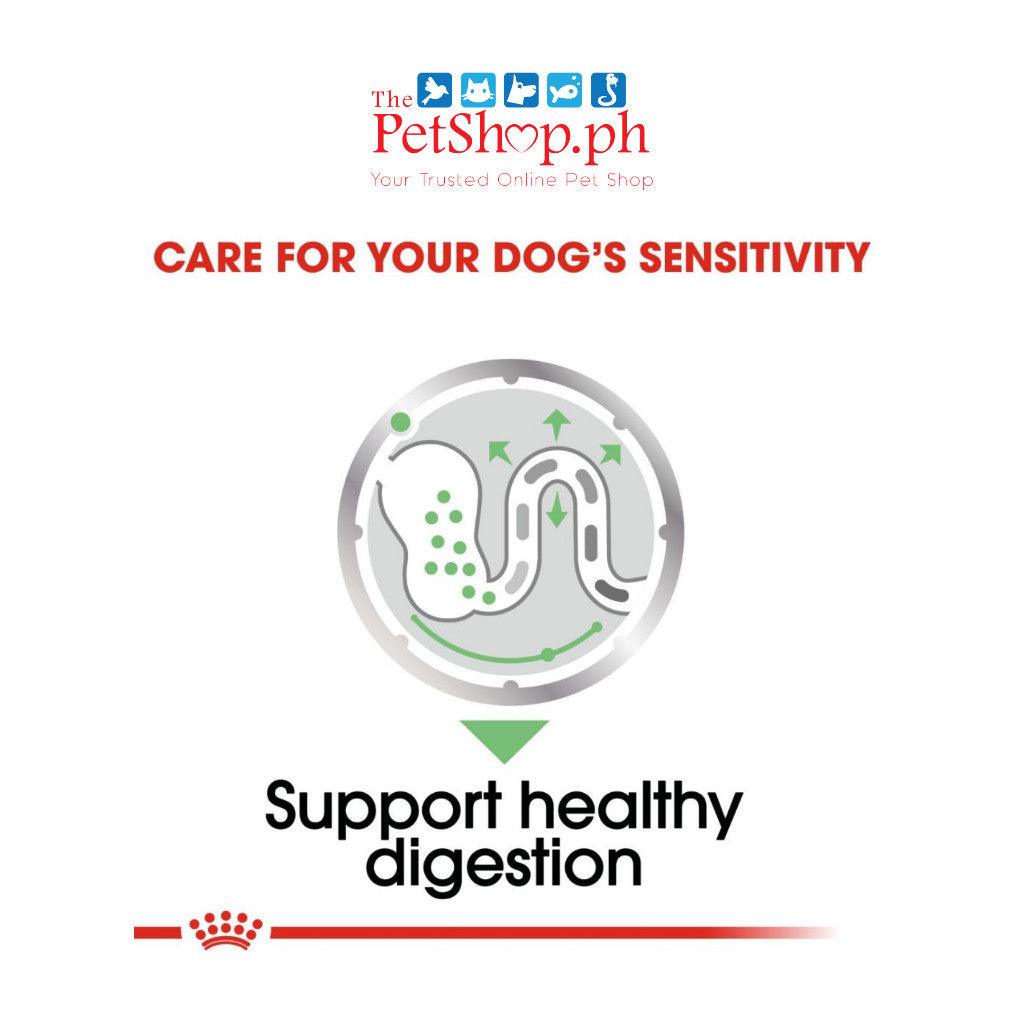 Royal Canin Digestive Care Dog Loaf 12's Adult Wet Food 85g - Royal Canin