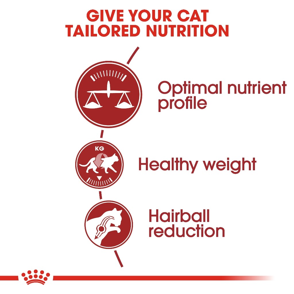 Royal Canin  Fit 32 Adult SET of 2  Dry Cat Food 2kg x 2 - Royal Canin