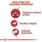 Royal Canin  Fit 32 Adult SET of 2  Dry Cat Food 2kg x 2 - Royal Canin