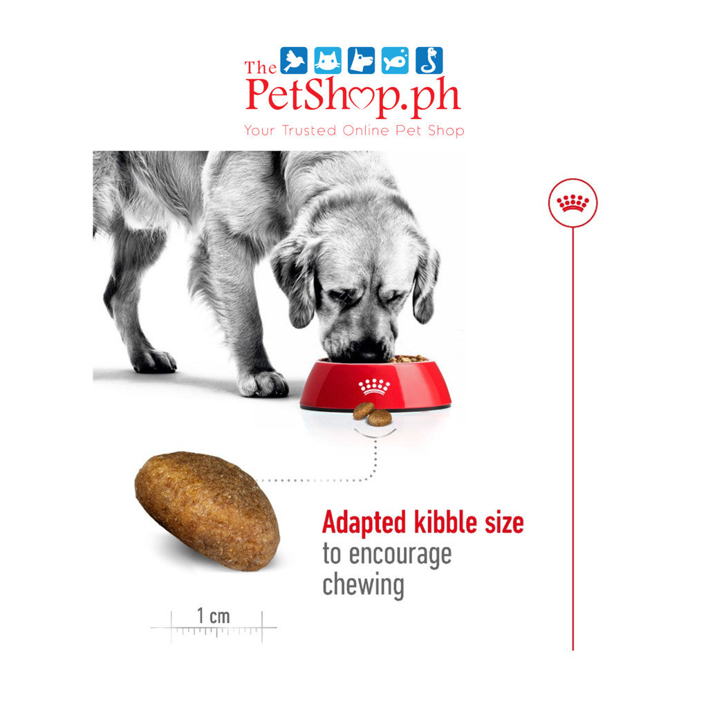 Royal Canin Maxi Adult 4kg Dry Dog Food Size Health Nutrition