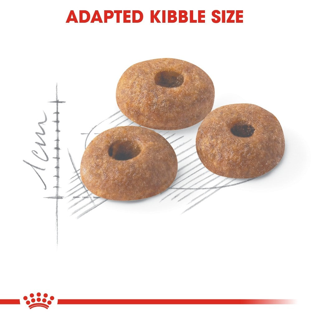 Royal Canin  Fit 32 Adult SET of 2  Dry Cat Food 2kg x 2 - Royal Canin