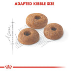 Royal Canin  Fit 32 Adult SET of 2  Dry Cat Food 2kg x 2 - Royal Canin