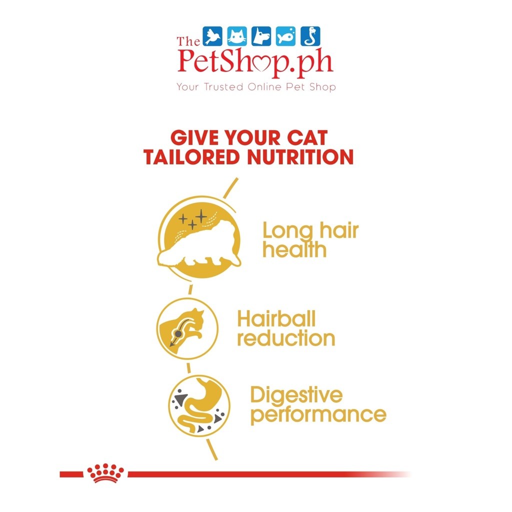 Royal Canin  Persian Adult 400g Dry Cat Food Feline Breed Nutrition