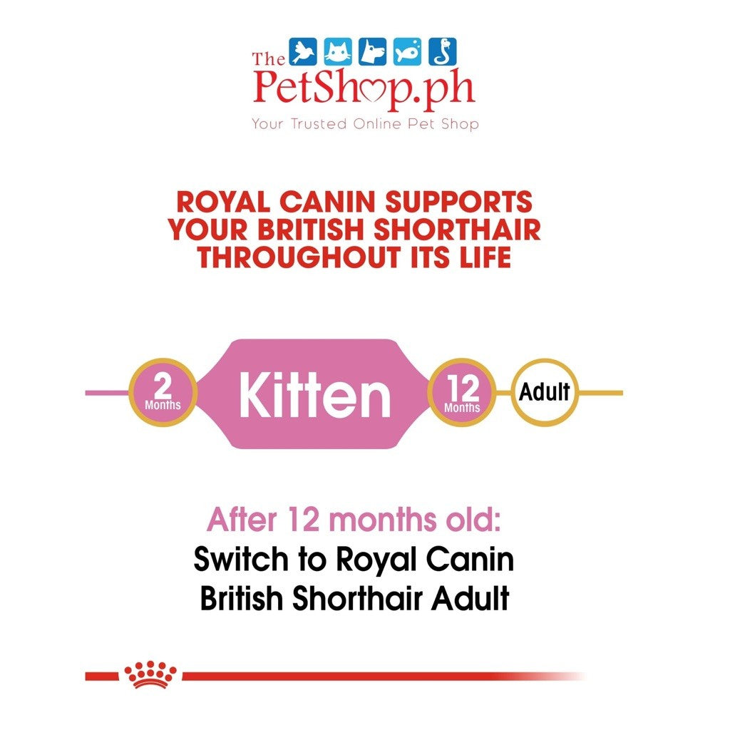 Royal Canin British Shorthair Kitten 400g Dry Cat Food Feline Breed Nutrition