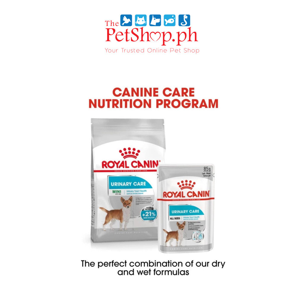ROYAL CANIN Dog Mini Urinary Care Loaf Wet 85g