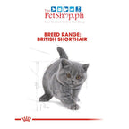 Royal Canin British Shorthair Kitten 400g Dry Cat Food Feline Breed Nutrition