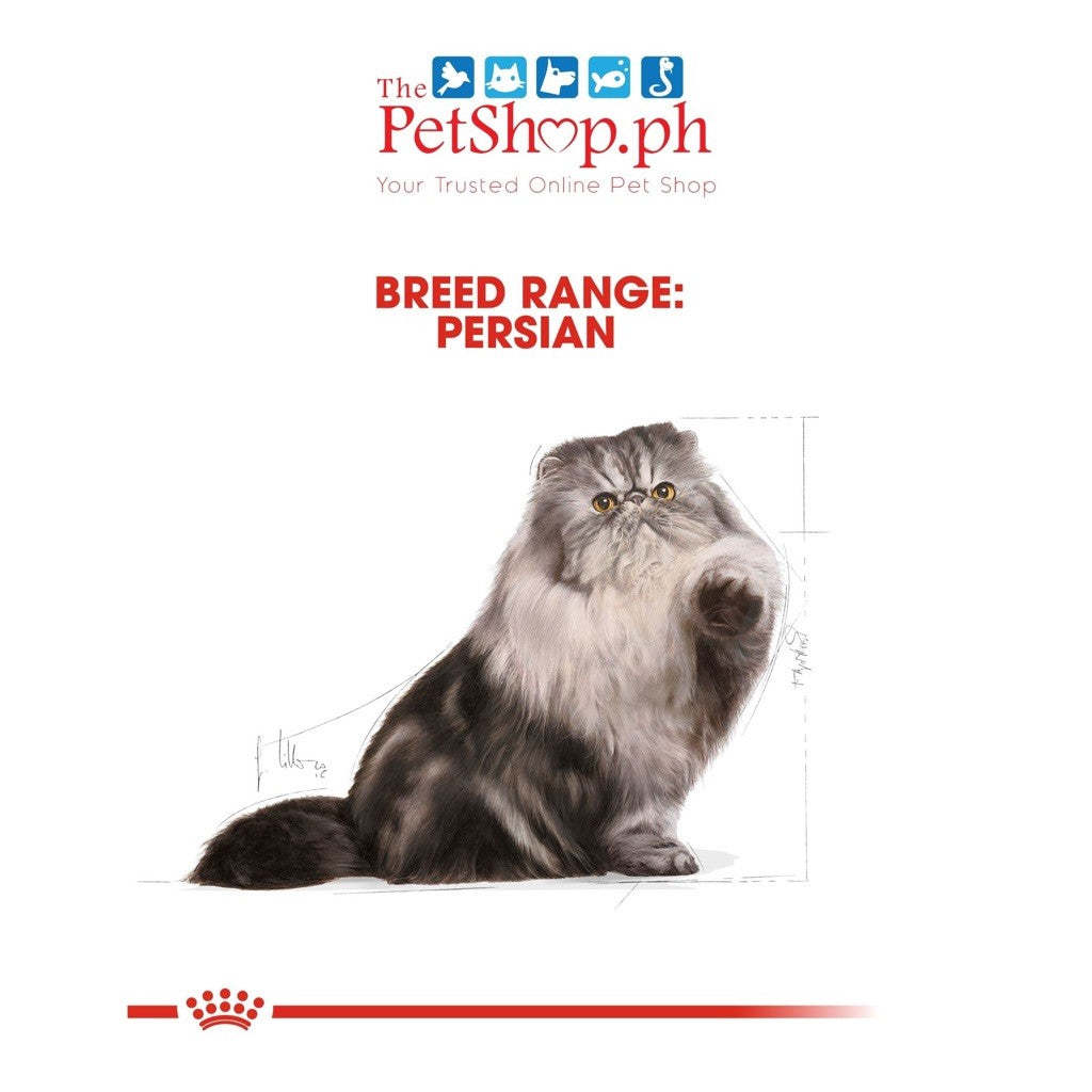 Royal Canin  Persian Adult 400g Dry Cat Food Feline Breed Nutrition