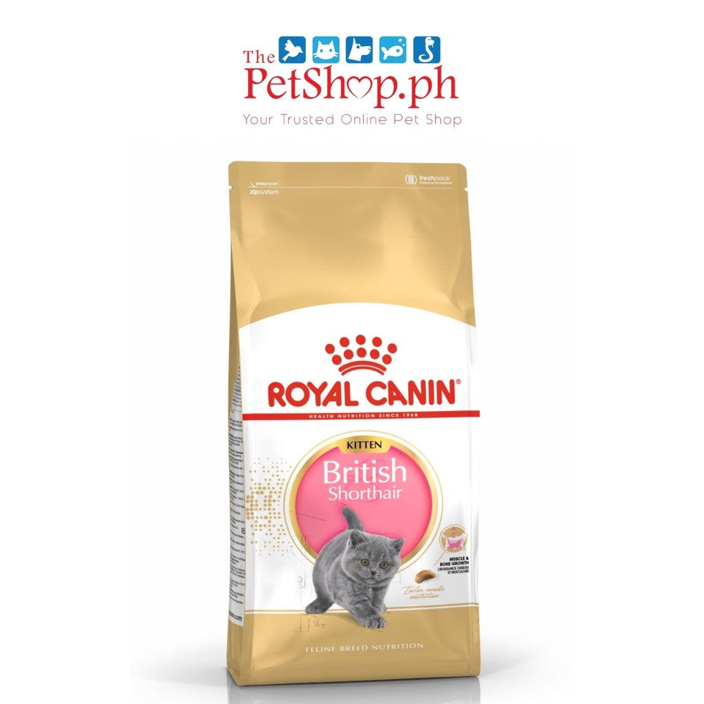 Royal Canin British Shorthair Kitten 400g Dry Cat Food Feline Breed Nutrition