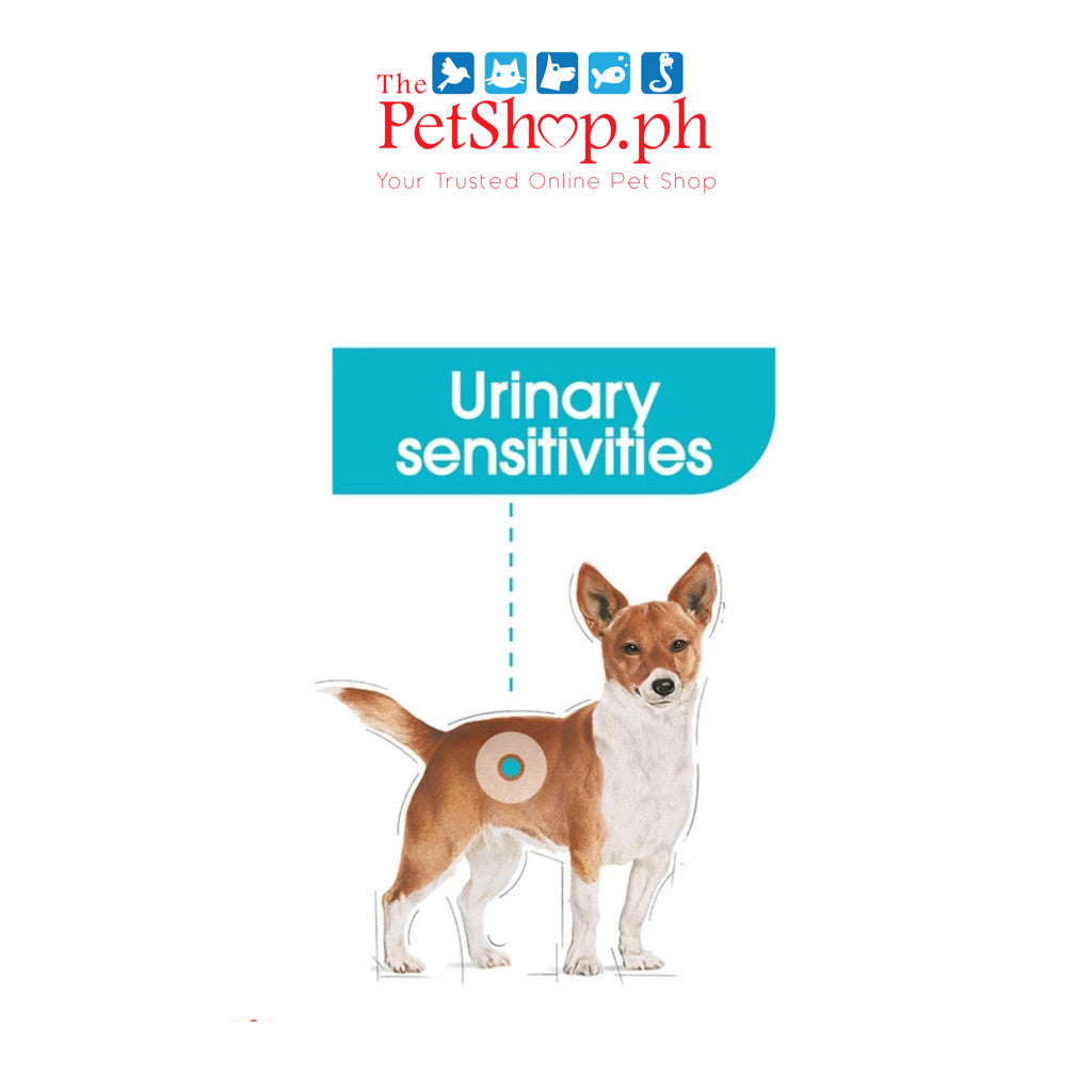 ROYAL CANIN Dog Mini Urinary Care Loaf Wet 85g