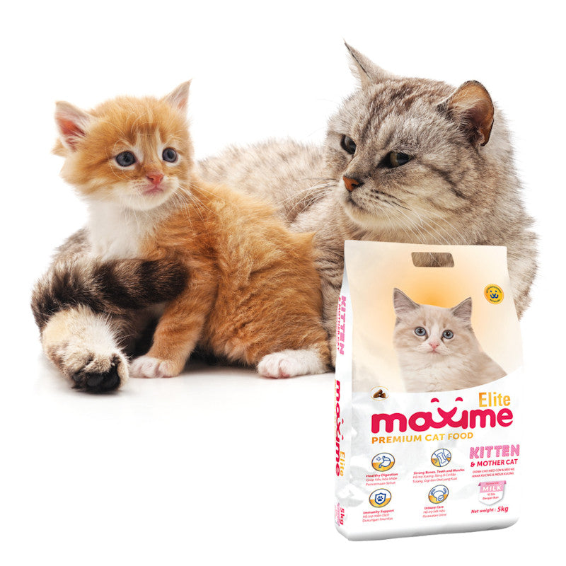 Maxime Elite for Kittens 1kg and Mothers For Urinary Care & Healthy Digestion 1kg Cat Food