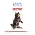Royal Canin Maine Coon Kitten 2kg Dry Cat Food - Feline Breed Nutrition