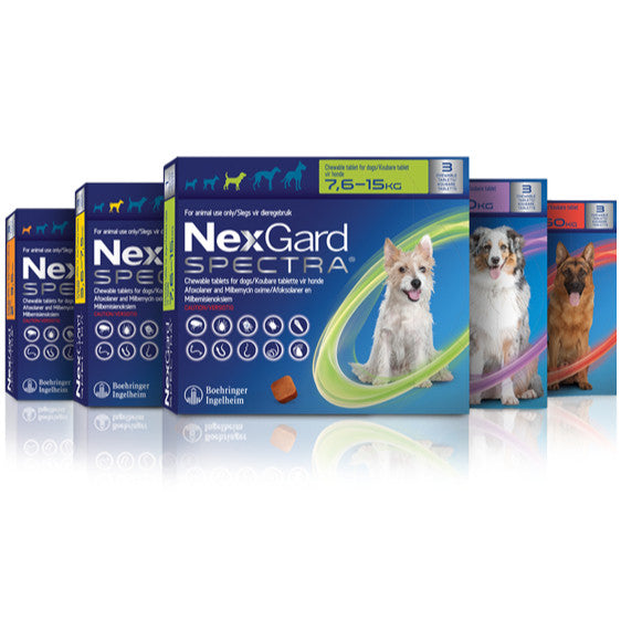 NexGard Spectra Chewable for Dog (3 tabs) Stickers Inside
