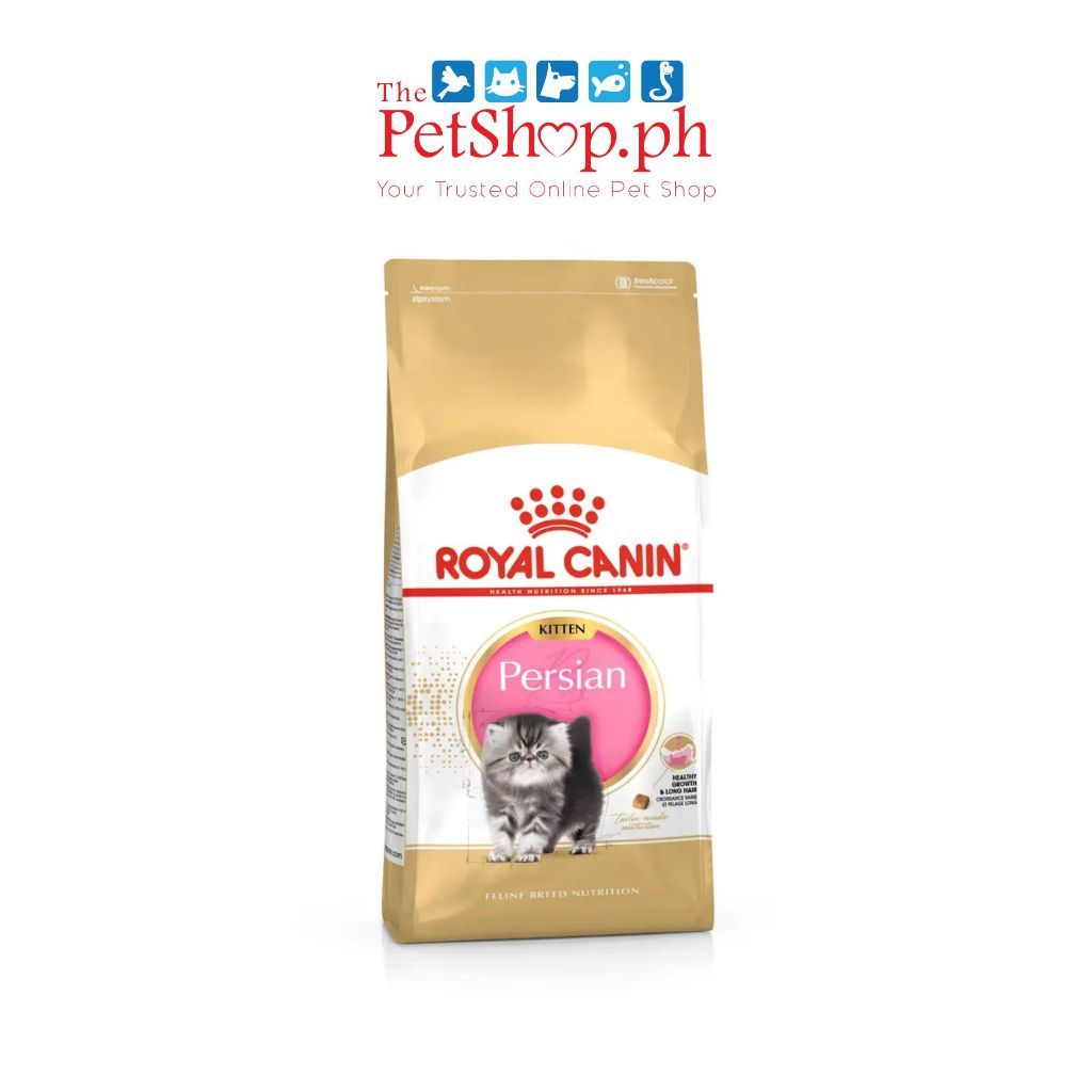 Royal Canin Persian Kitten 10kg   Dry Cat Food - Feline Nutrition (FREE 1 Anti-Ant Pet Bowl)