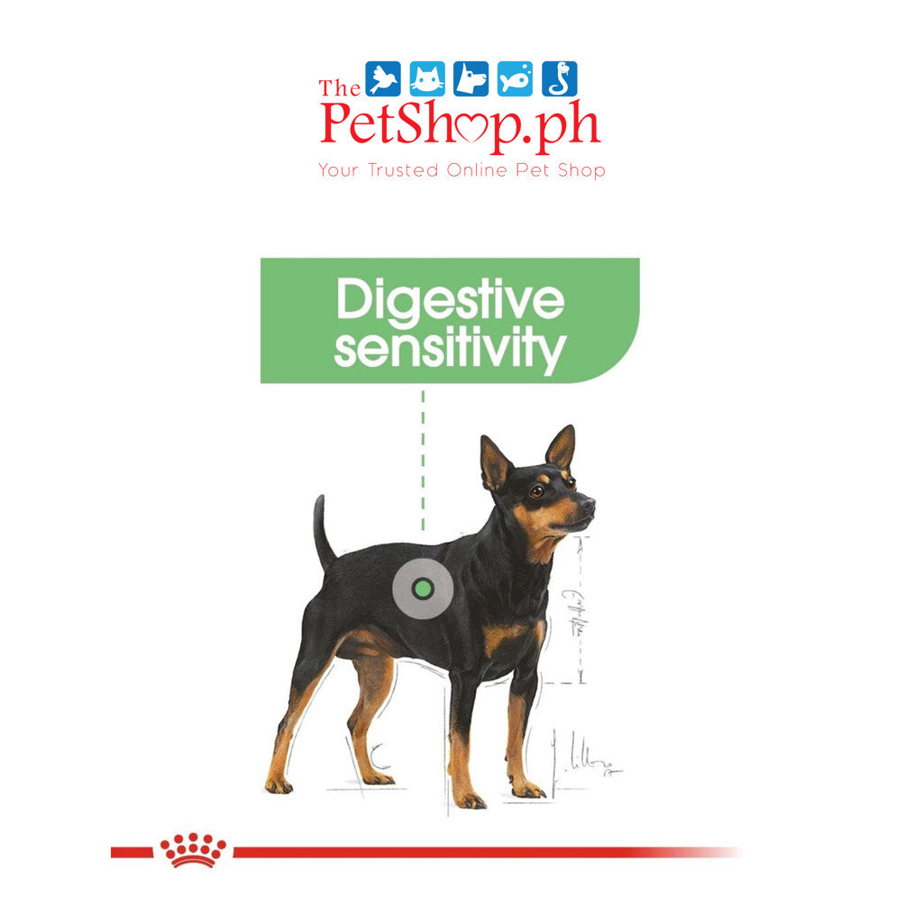 Royal Canin Mini Digestive Care (3kg) Adult Dry Dog Food - Canine Care Nutrition