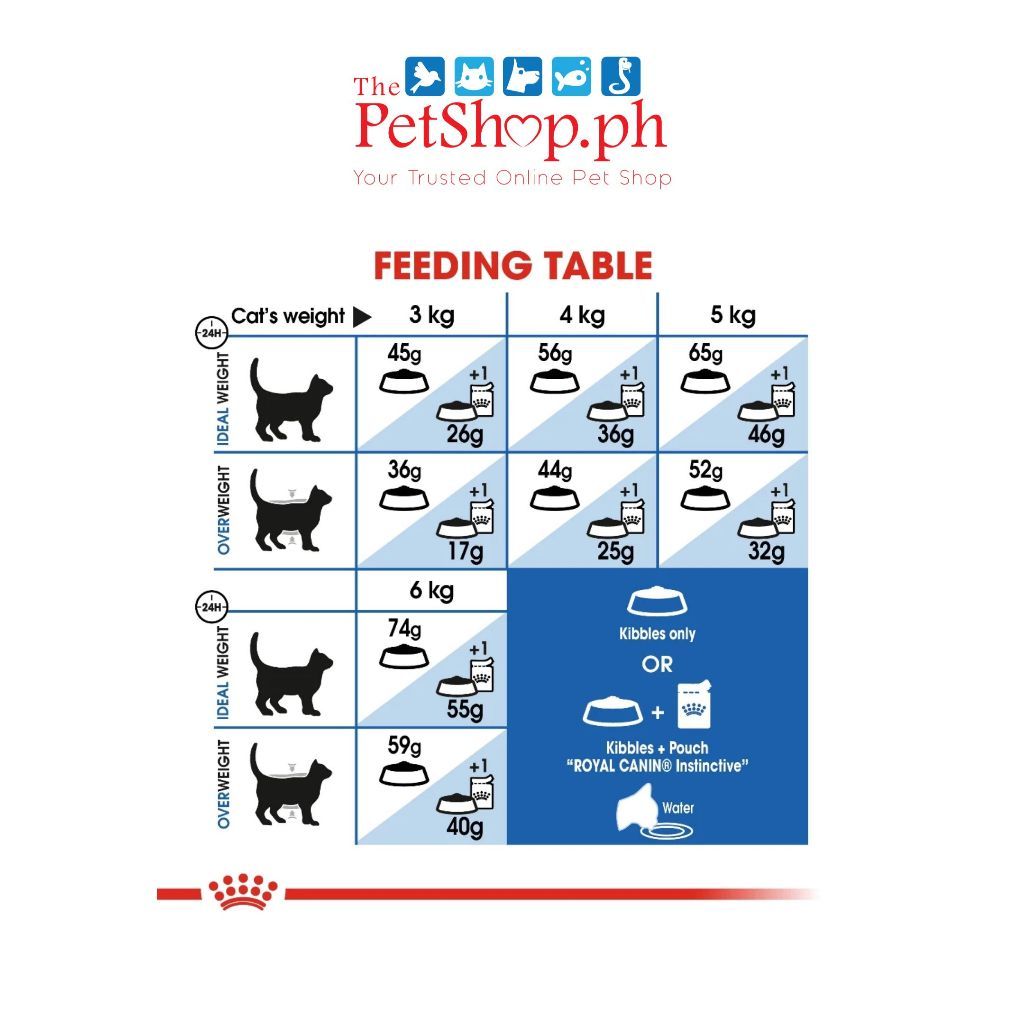 Royal Canin Persian Kitten 10kg   Dry Cat Food - Feline Nutrition (FREE 1 Anti-Ant Pet Bowl)