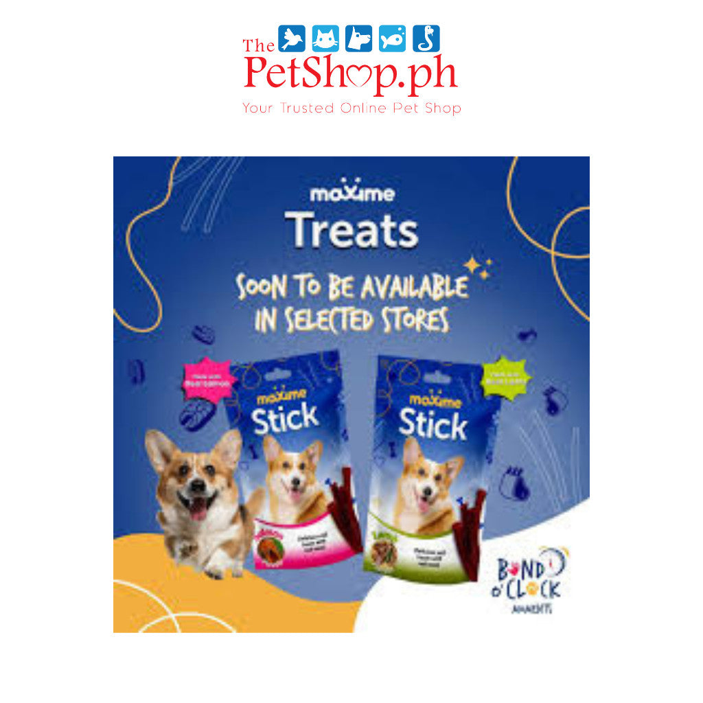 Maxime Dog Treats 70g Lamb Flavour And Salmon Flavour