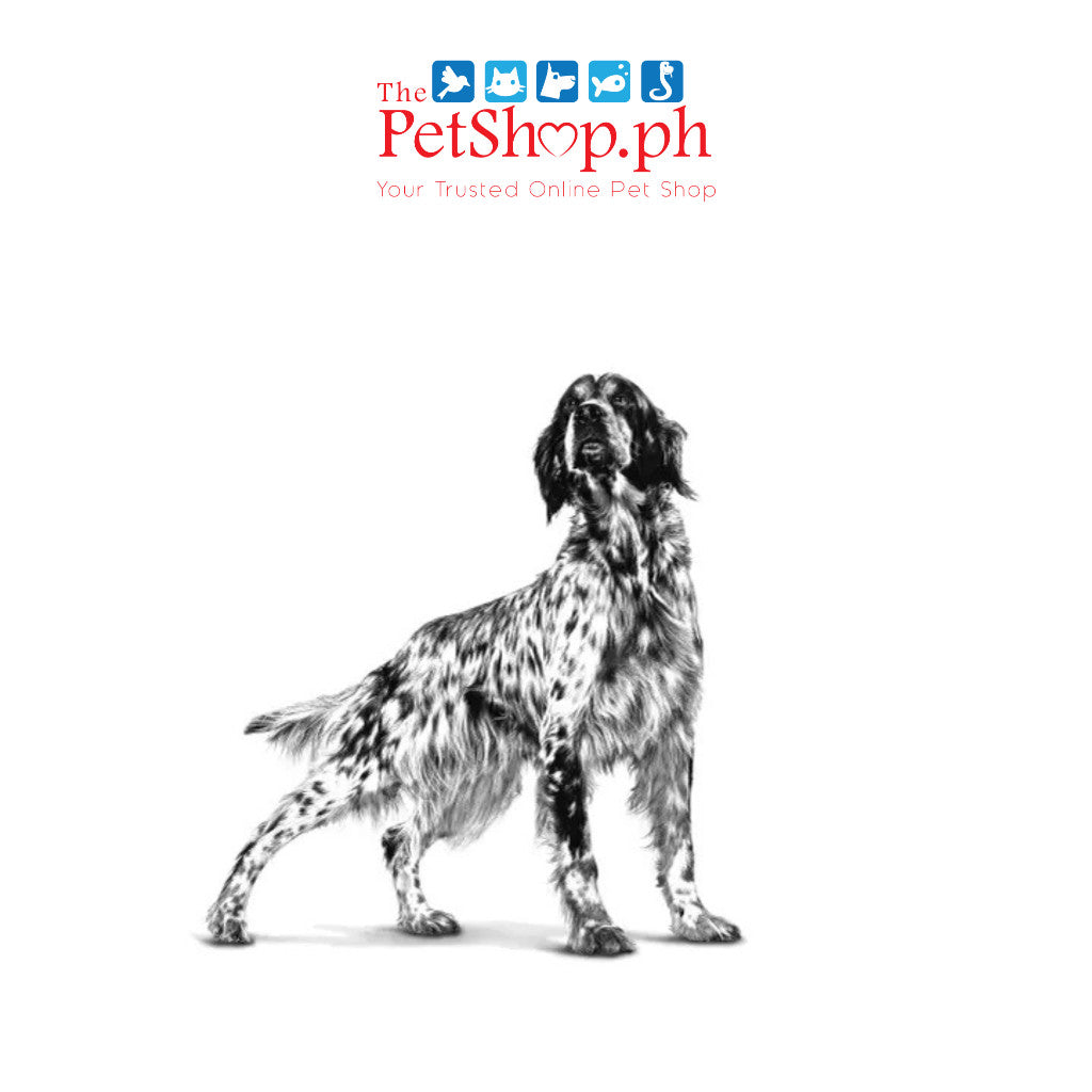 Royal Canin VD Urinary Canine S/O 2kg Dry DOG Food Vet Range