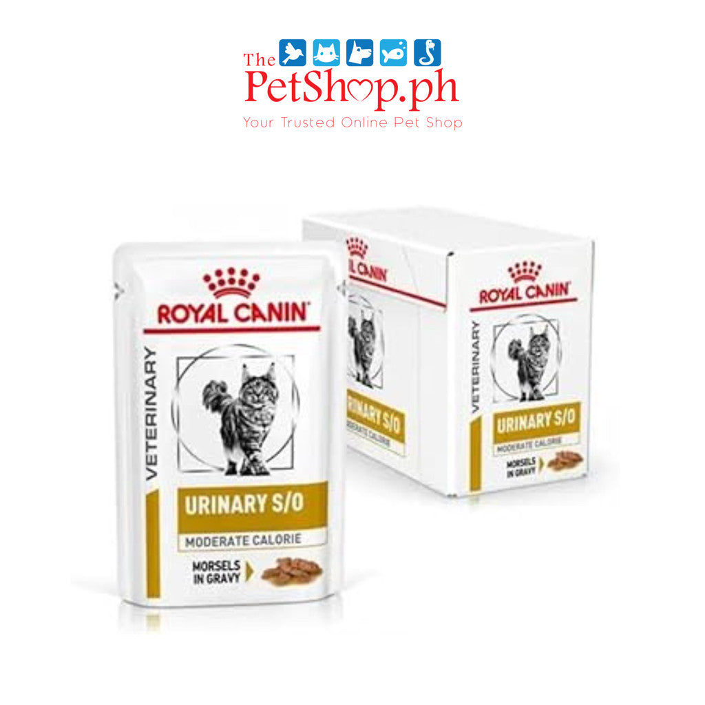 Royal Canin URINARY S/O CAT  Feline SET OF 12  Wet Food POUCH