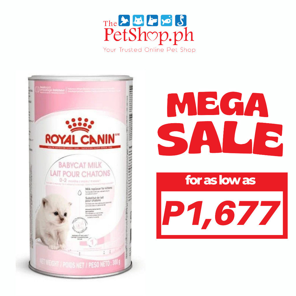 Royal Canin Babycat Milk 300g