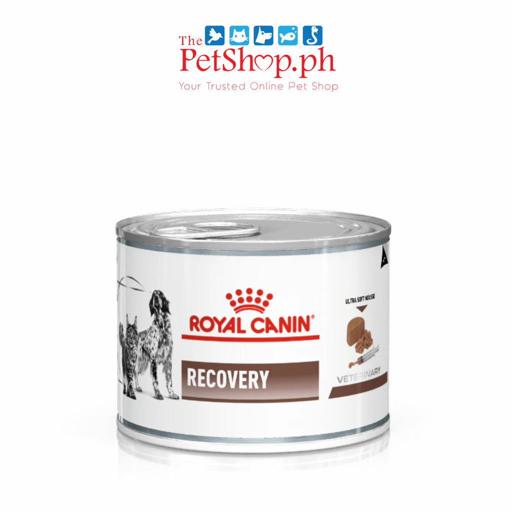 Royal Canin VD Recovery Ultra Soft Mousse 195g Can Wet Dog/Cat