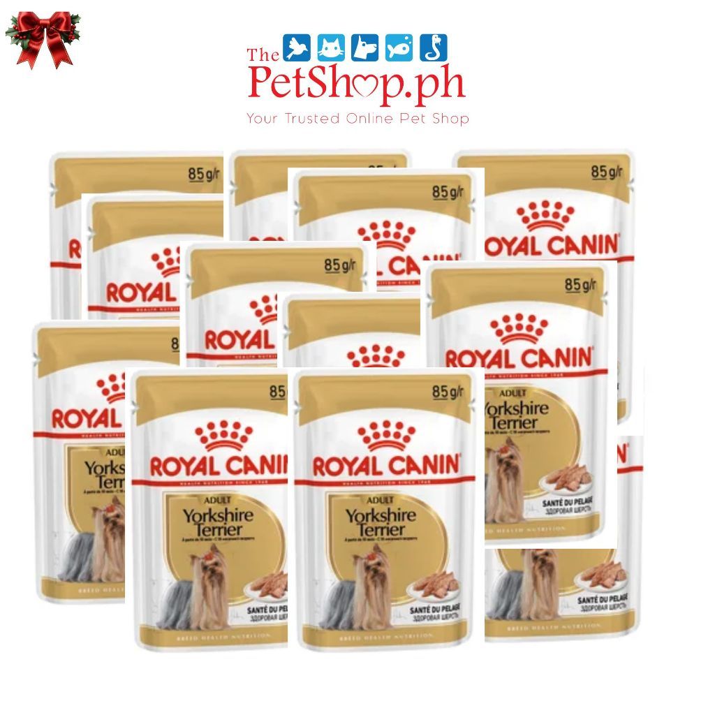Royal Canin Yorkshire SET 12  Adult Pouch Wet Dog Food Breed Health Nutrition 85g