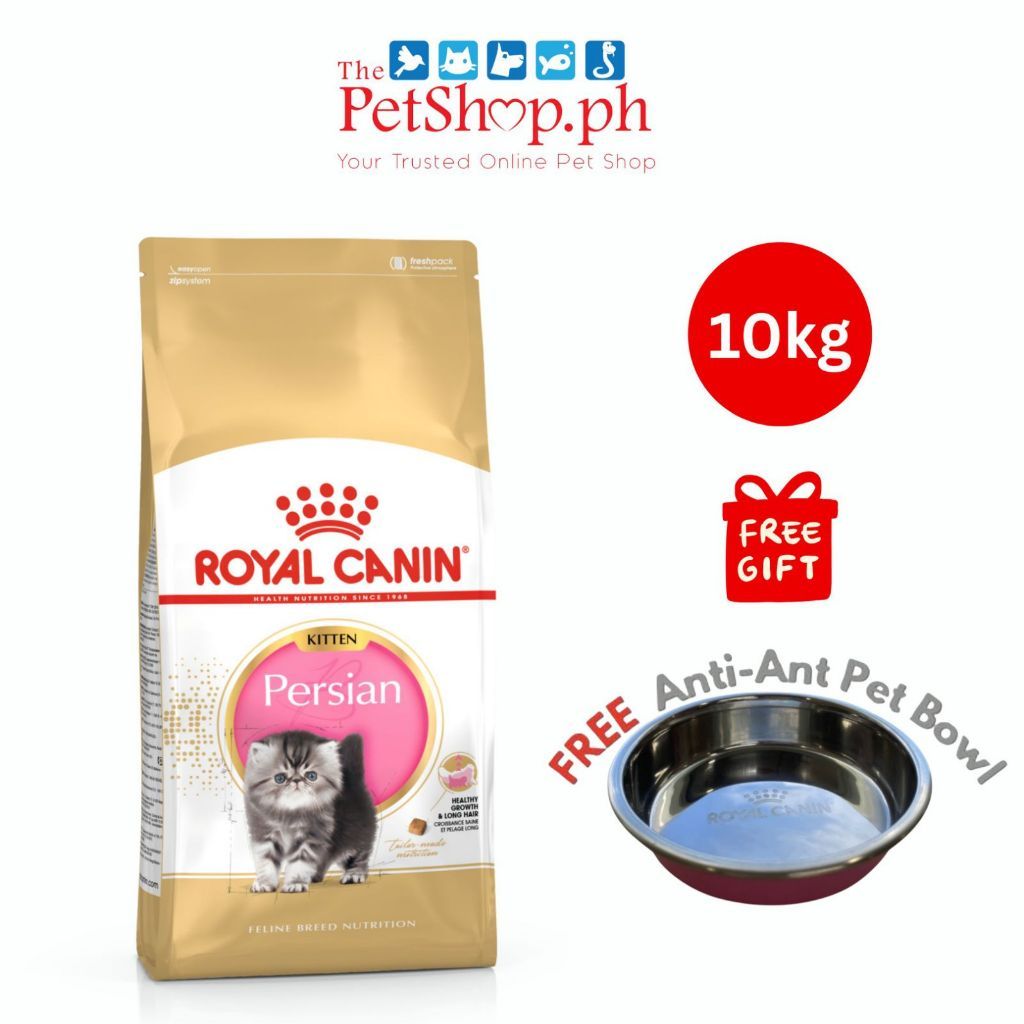 Royal Canin Persian Kitten 10kg   Dry Cat Food - Feline Nutrition (FREE 1 Anti-Ant Pet Bowl)