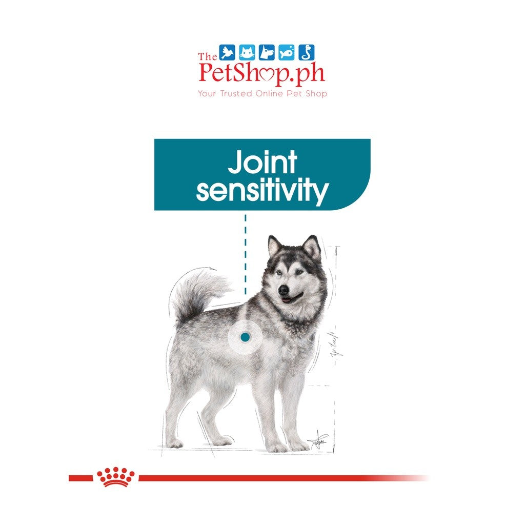 Royal Canin Maxi Joint Care 3kg Adult Dry Dog Food - Canine Care Nutrition