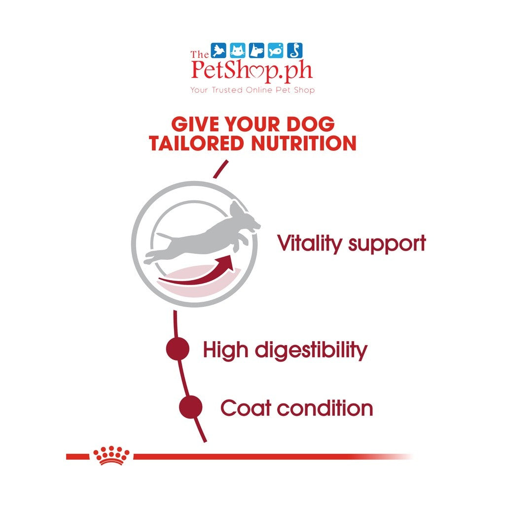Royal Canin Medium Adult 7+ 4kg Dry Dog Food - Size Health Nutrition