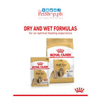 Royal Canin Shih Tzu SET 12's Adult Wet Dog Food Breed Health Nutrition