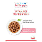 Royal Canin Kitten Instinctive SET 12' Wet Cat Food  85g
