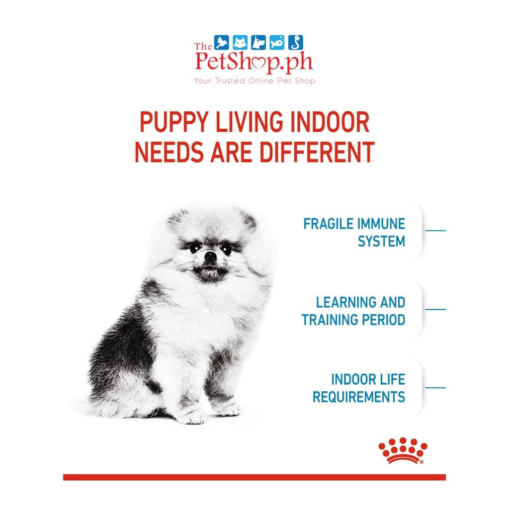 Royal Canin Mini Indoor Puppy 1.5kg Dry Dog Food Size Health Nutrition