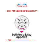 Royal Canin Exigent Loaf 85g in sauce 1's Picky Eater Fussy Appetite - Royal Canin