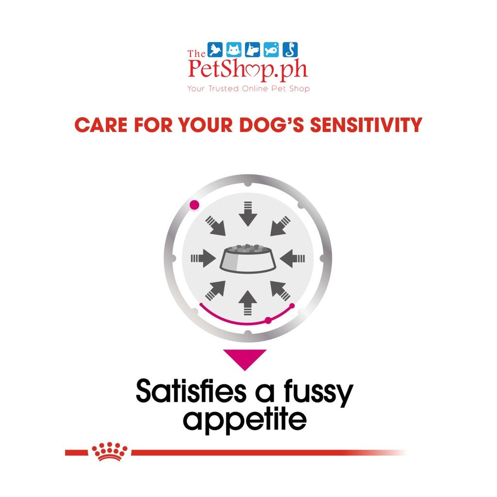 Royal Canin Exigent Loaf 85g in sauce 1's Picky Eater Fussy Appetite - Royal Canin