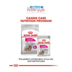 Royal Canin Exigent Loaf 85g in sauce 1's Picky Eater Fussy Appetite - Royal Canin