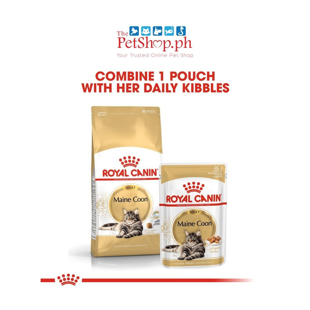 Royal Canin  Maine Coon 400g  Adult Dry Cat Food Feline Breed Nutrition - Royal Canin