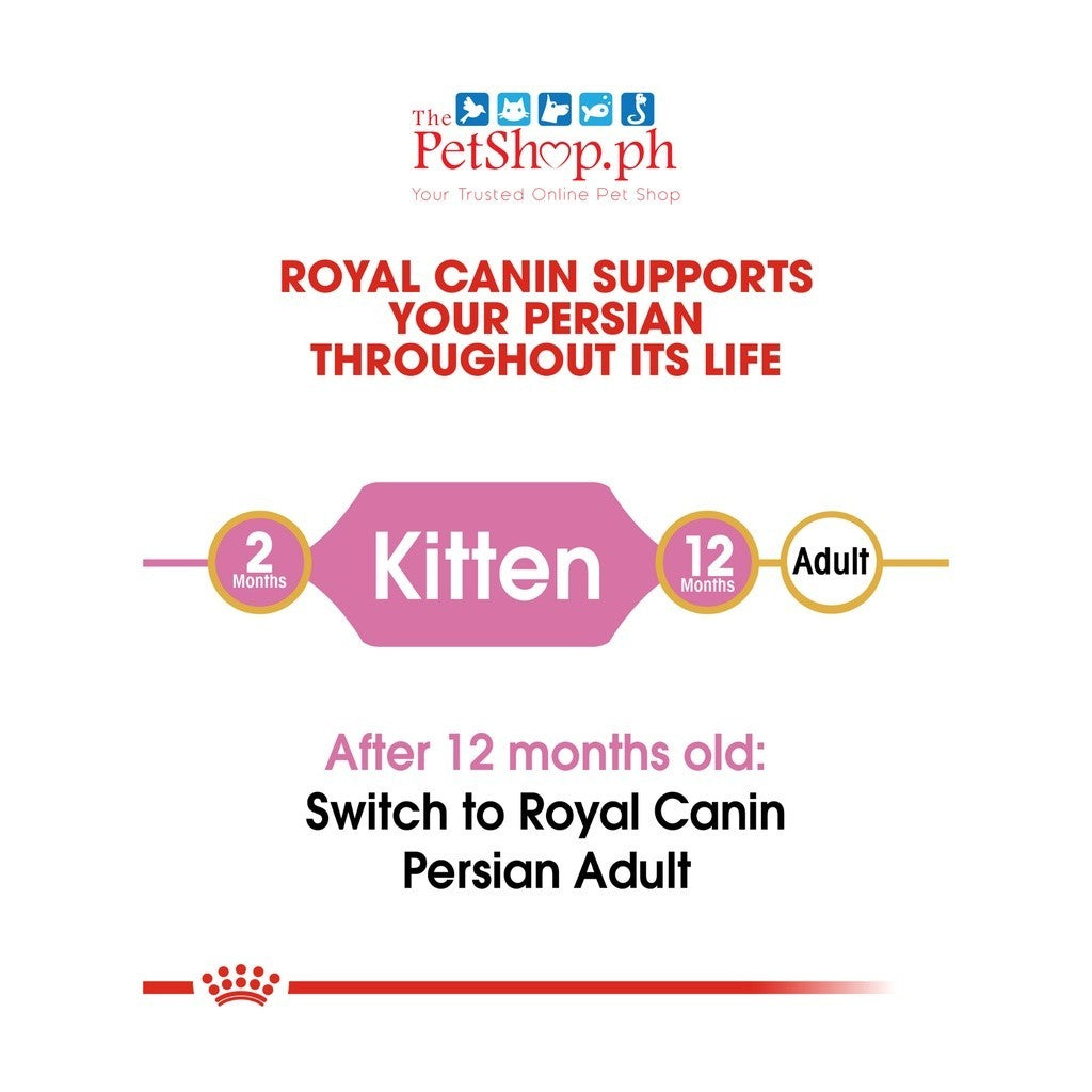 Royal Canin Persian Kitten 400g Dry Cat Food  Feline Breed Nutrition