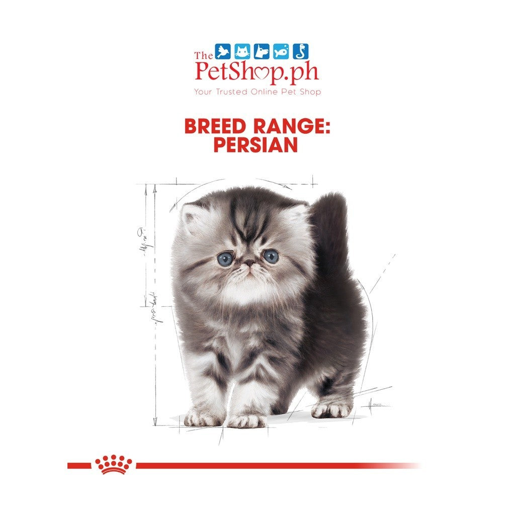 Royal Canin Persian Kitten 400g Dry Cat Food  Feline Breed Nutrition