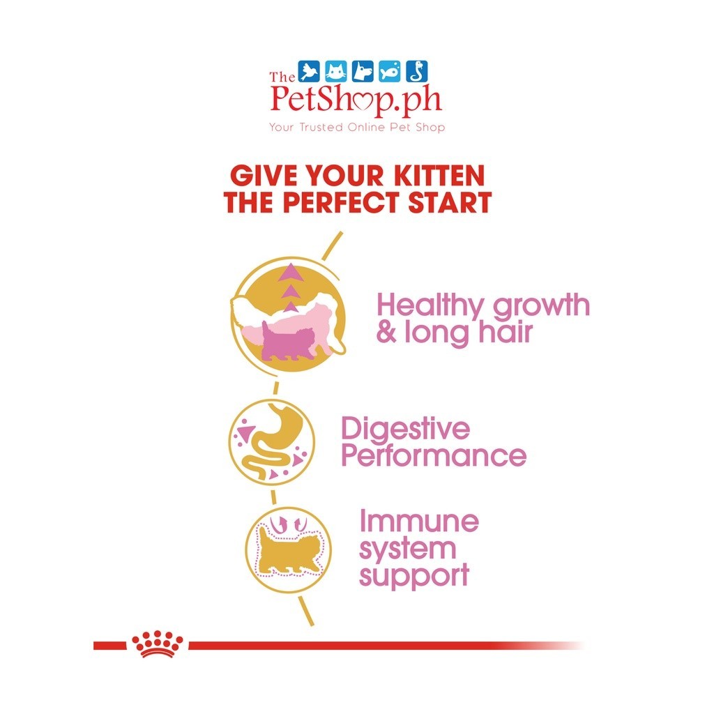 Royal Canin Persian Kitten 400g Dry Cat Food  Feline Breed Nutrition