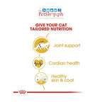Royal Canin  Maine Coon 400g  Adult Dry Cat Food Feline Breed Nutrition - Royal Canin