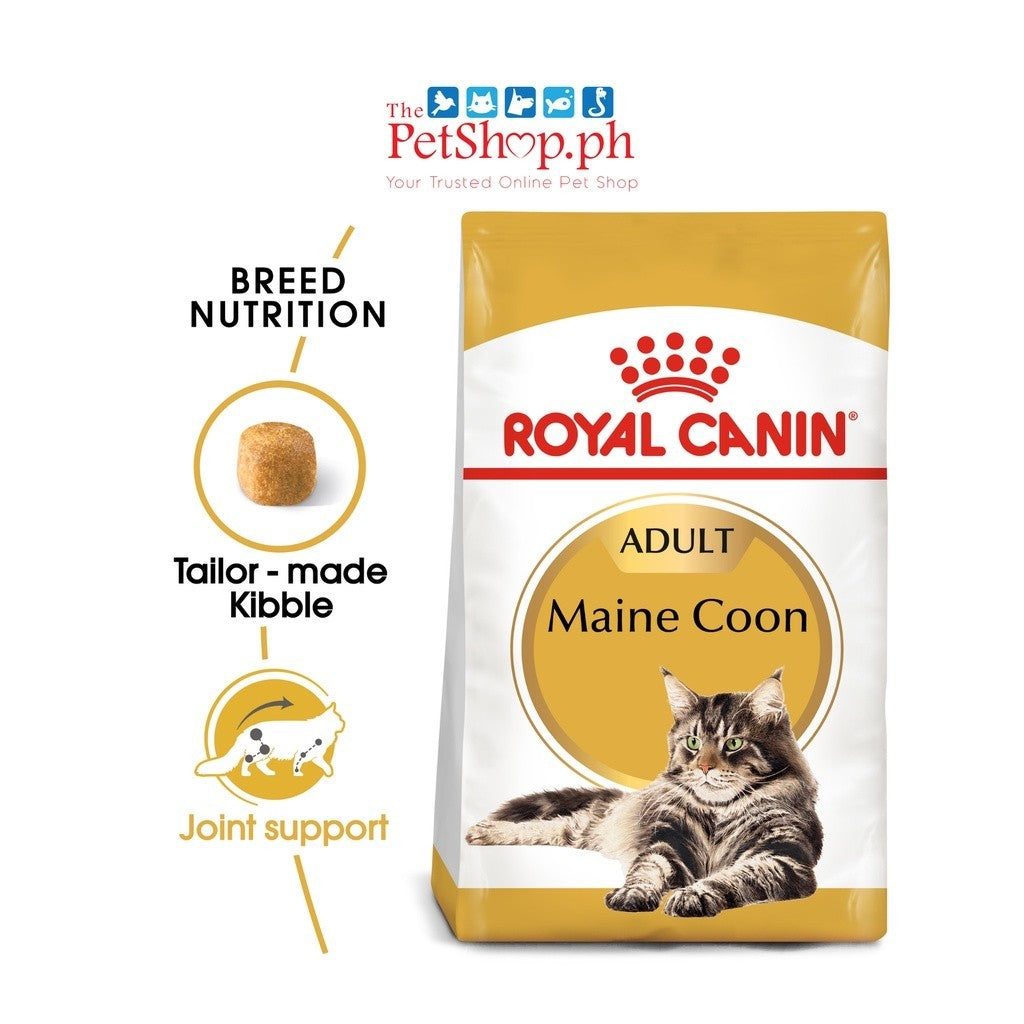 Royal Canin  Maine Coon 400g  Adult Dry Cat Food Feline Breed Nutrition - Royal Canin
