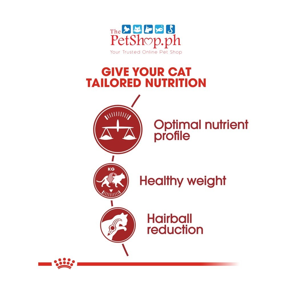 Royal Canin Fit 32 Adult 400g  Dry Cat Food- Feline Health Nutrition
